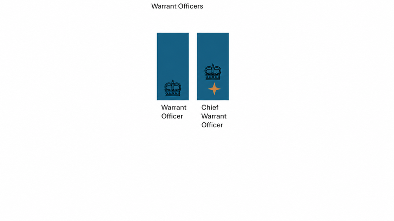 Maritime Command warrant officer insignia — clean